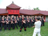 Veliki mojster Leung Ting